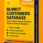 Blinkit Customers Database 2025