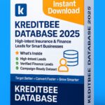 KreditBee Database 2025