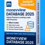 Moneyview Database 2025